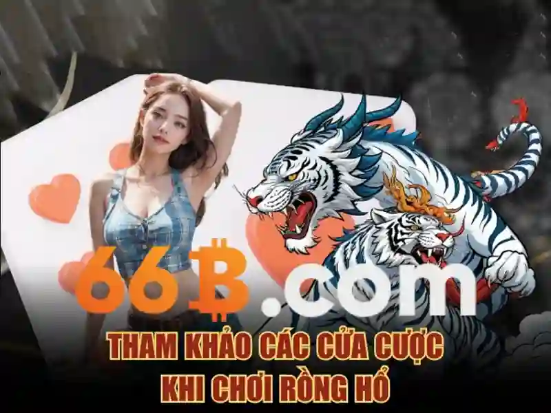66b: khái niệm và tiềm năng công nghệ
