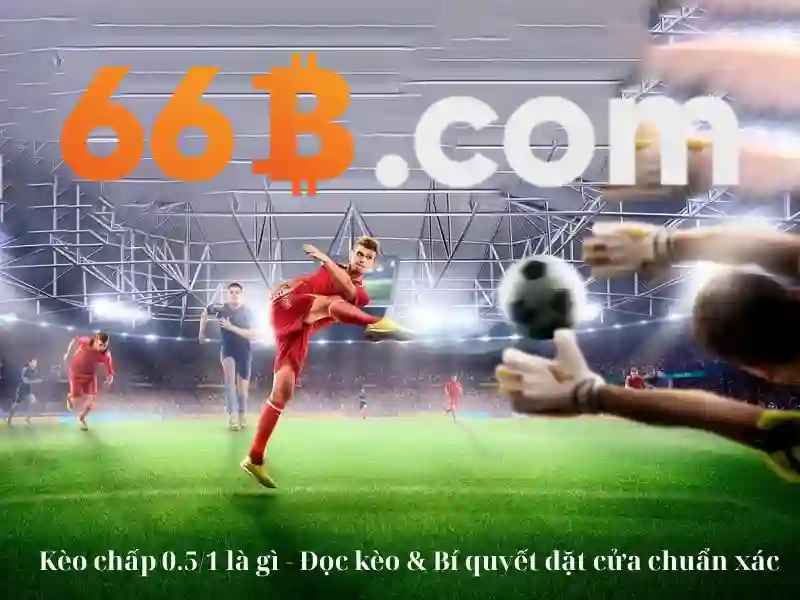 66b: khái niệm và câu chuyện phía sau Giao diện nhà cái hoàn hảo